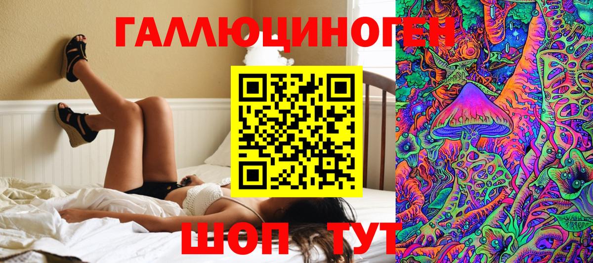 Большой Камень  Галлюциногенные грибы Psilocybine cubensis  купить наркотики цена  Вход с VPN 